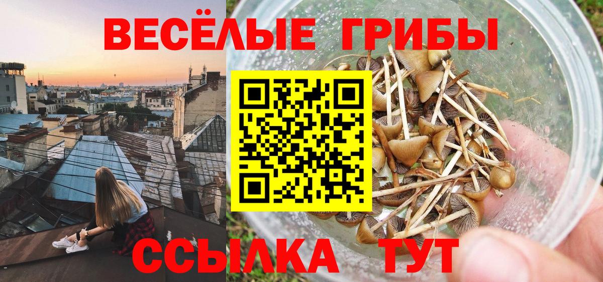 Псилоцибиновые грибы ЛСД Протвино