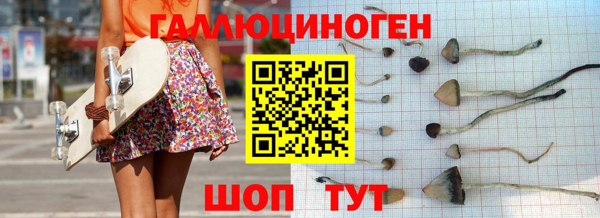 Протвино  Галлюциногенные грибы прущие грибы  Вход с VPN 